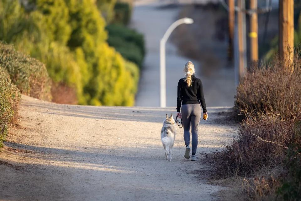 Woman walking her dog on a sunny park path, an everyday way to stay active